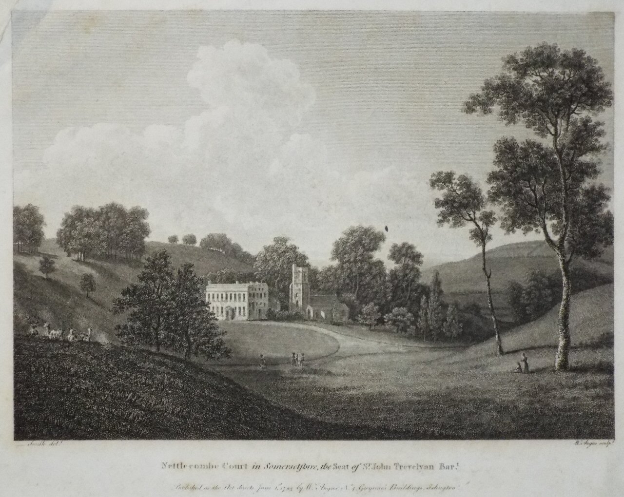 Print - Nettlecombe Court in Somersetshire, the Seat of St. John Trevelyan Bart.. - Angus